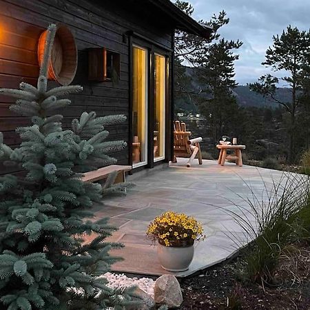 Cosy Cabin Between Lake And Mountain Treungen Exterior foto