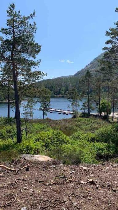 Cosy Cabin Between Lake And Mountain Treungen Exterior foto