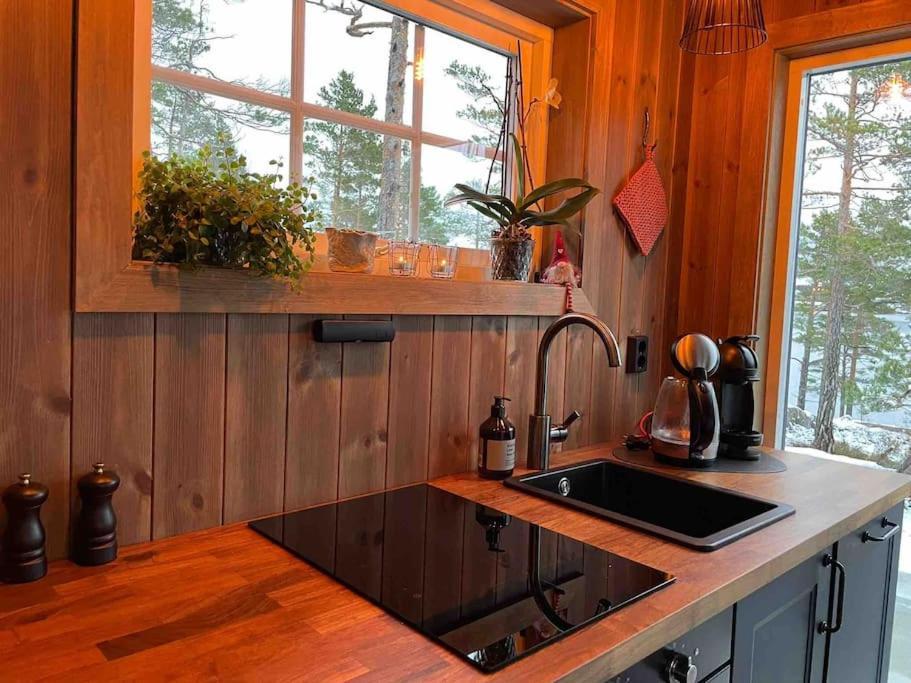 Cosy Cabin Between Lake And Mountain Treungen Exterior foto